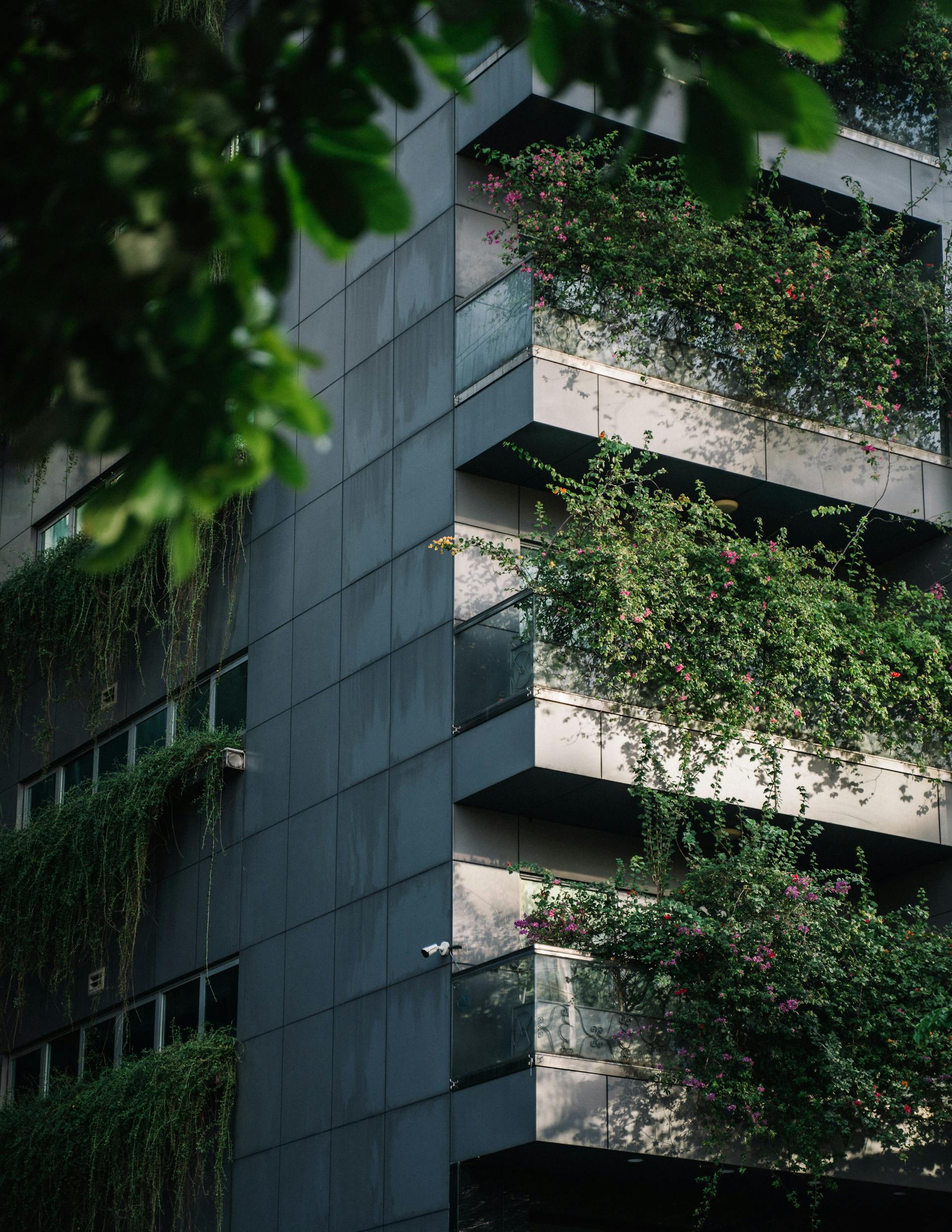 Imagem de apoio para a divulgação de sustentabilidade IFRS ISSB